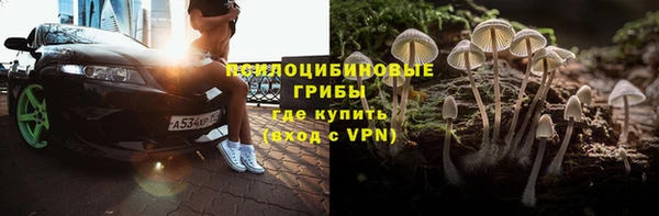 дурь Краснослободск