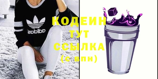 индика Краснотурьинск
