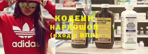 дурь Краснослободск