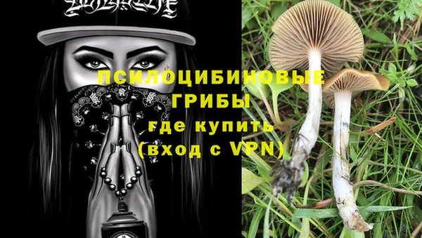 индика Краснотурьинск