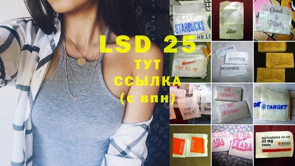 индика Краснотурьинск