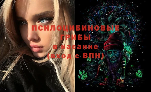 индика Краснотурьинск