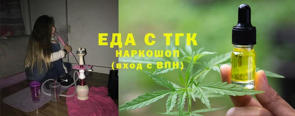 индика Краснотурьинск