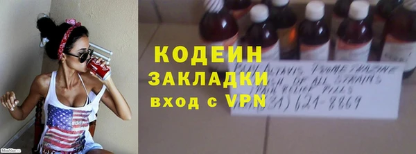 индика Краснотурьинск
