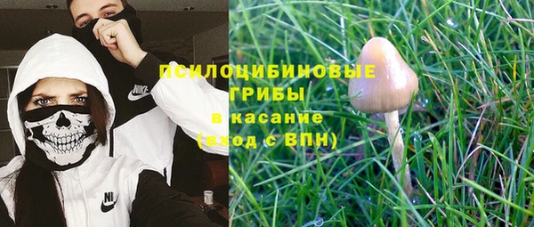 индика Краснотурьинск