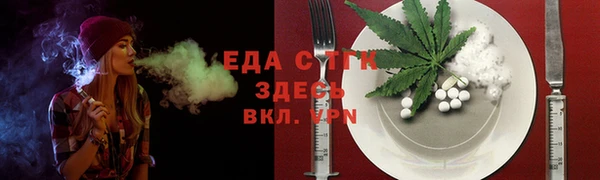 индика Краснотурьинск