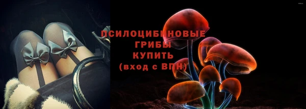 дурь Краснослободск