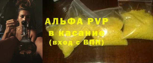 индика Краснотурьинск