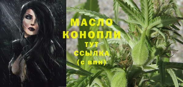 дурь Краснослободск