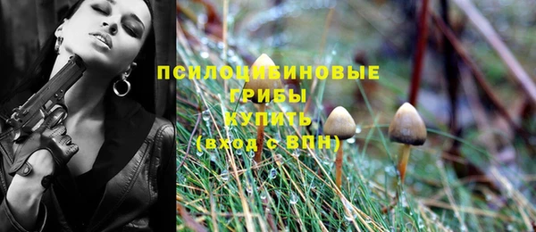 индика Краснотурьинск