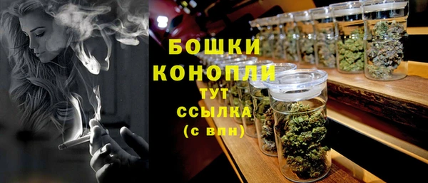 дурь Краснослободск