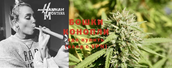 дурь Краснослободск