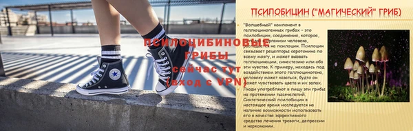 индика Краснотурьинск