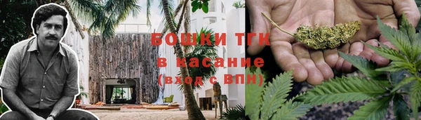индика Краснотурьинск