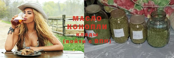 индика Краснотурьинск